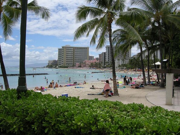 Waikiki Catamaran Snorkel Sail with Lunch: Turtles Guaranteed - Sailing From Kewalo Basin to Turtle Canyon