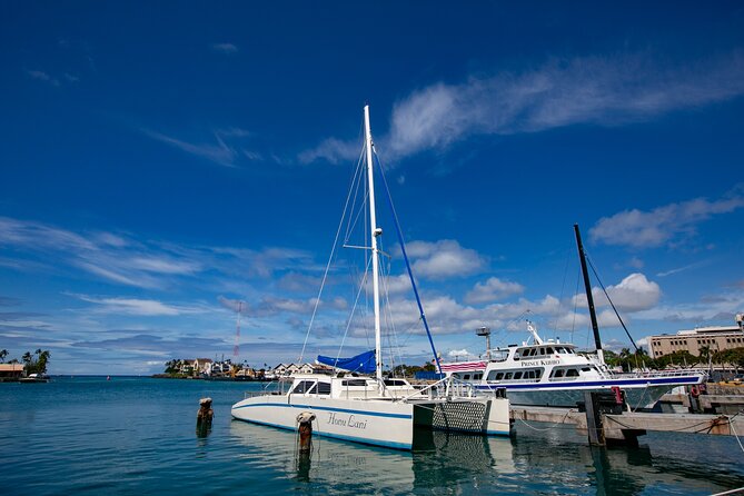Waikiki Catamaran Snorkel Sail with Lunch: Turtles Guaranteed - Snorkeling With Turtles and Reef Fish