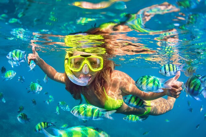 Waikiki Green Sea Turtle Snorkeling Tour - Boat Excursion - The 50-foot catamaran makes the short cruise easier