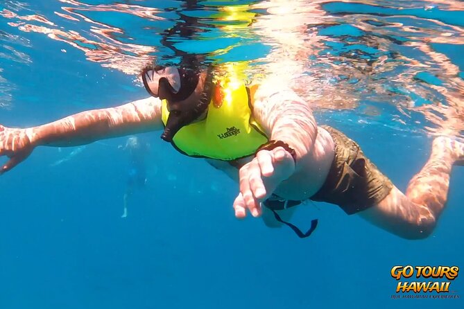 Waikiki Green Sea Turtle Snorkeling Tour - Boat Excursion - Who will enjoy this boat trip most?