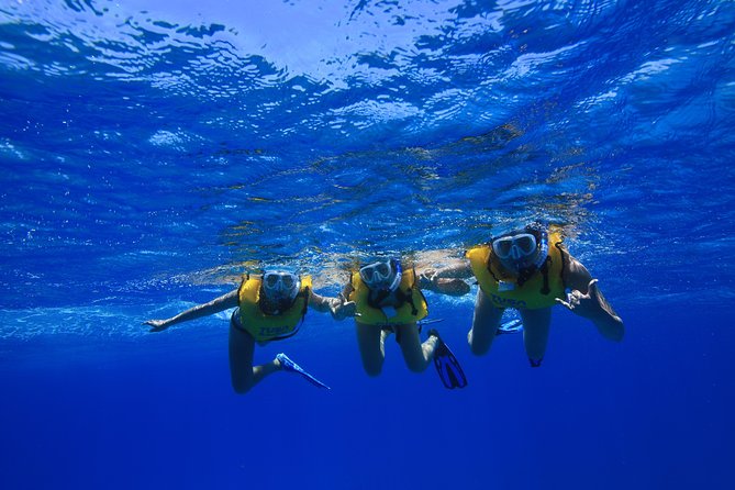 Waikiki, Hawaii: Turtle Canyon Snorkel Excursion - Clear water, cloudy water, and crowded fins