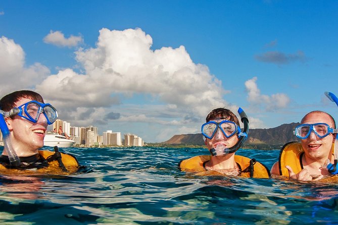 Waikiki, Hawaii: Turtle Canyon Snorkel Excursion - Wildlife above the water