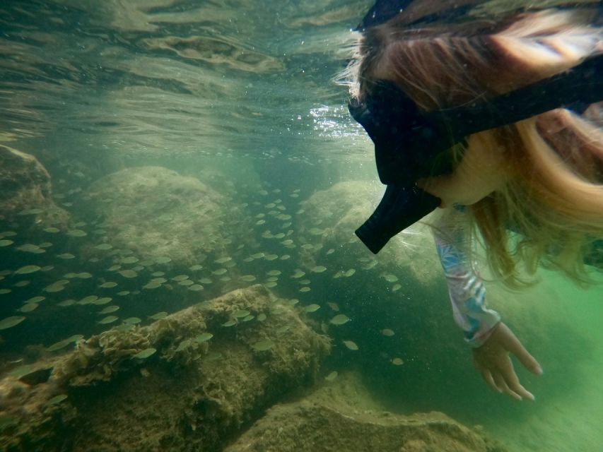 Waikiki: Honolulu Beginner Snorkeling Tour with Videos - Why Magic Island Lagoon works for a first snorkeling lesson
