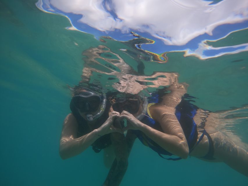 Waikiki: Honolulu Beginner Snorkeling Tour with Videos - What happens during the 90 minutes