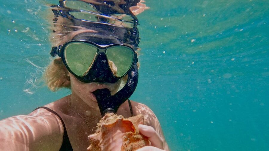 Waikiki: Honolulu Beginner Snorkeling Tour with Videos - Who should book this Waikiki snorkeling tour?