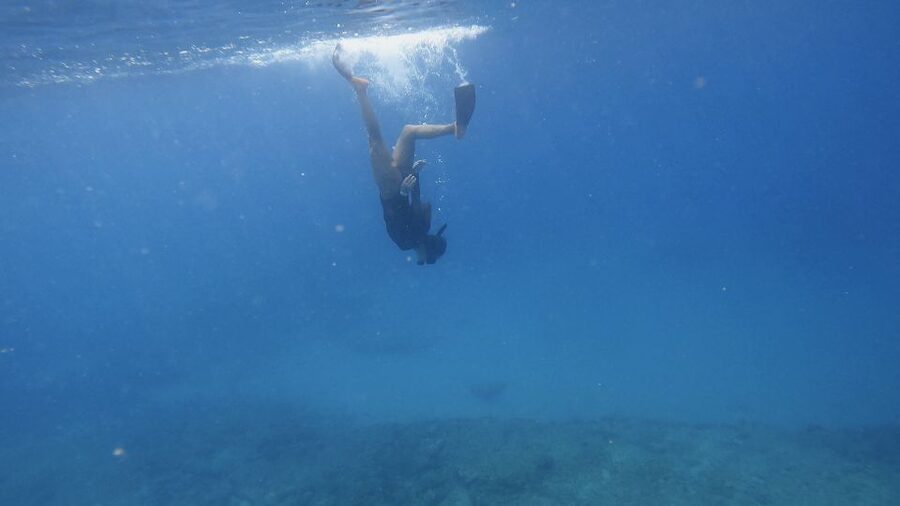 Waikiki: Honolulu Beginner Snorkeling Tour with Videos - The meeting point takes a little attention