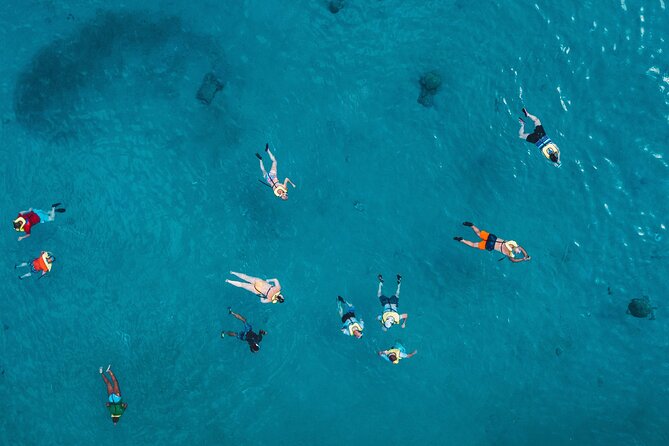 Waikiki: Turtle Canyon Snorkel - The crew makes the biggest difference