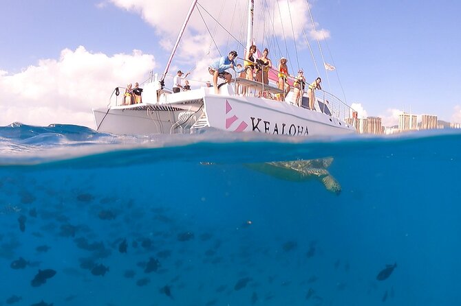 Waikiki: Turtle Canyon Snorkel - Snacks, water, and what to pack