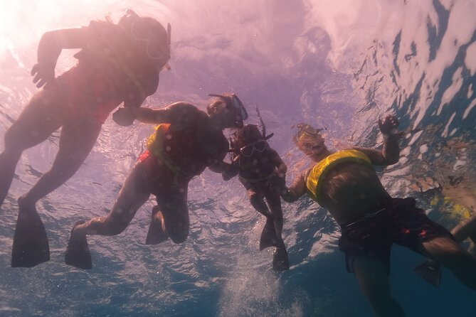 Waikiki: Turtle Canyon Snorkel - Is $68.60 a fair price?