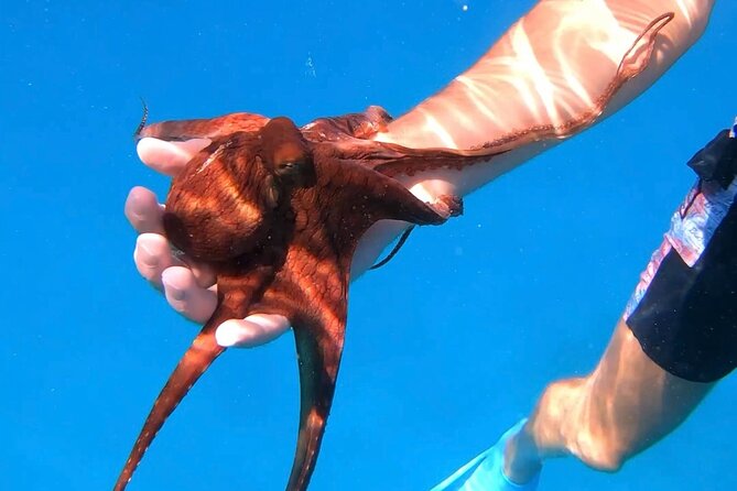 Waikiki Turtle Canyon Snorkel: Turtles Guaranteed - The crew, photo option, and boat comfort