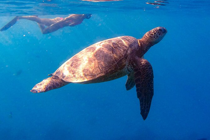 Waikiki Turtle Canyon Snorkel: Turtles Guaranteed - Leaving Ala Moana with Diamond Head ahead