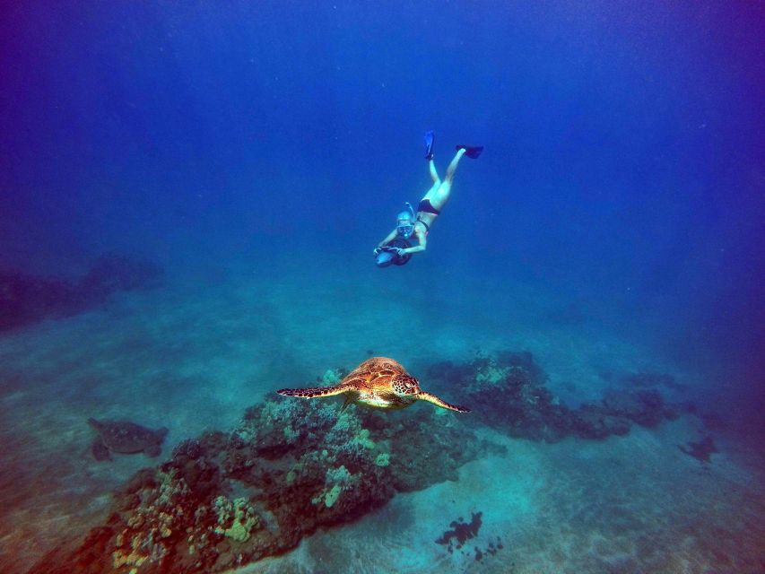 Wailea Beach: Guided Sea Scooter Snorkeling Tour - Key points to know before you book
