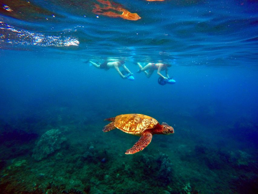Wailea Beach: Guided Sea Scooter Snorkeling Tour - FAQ