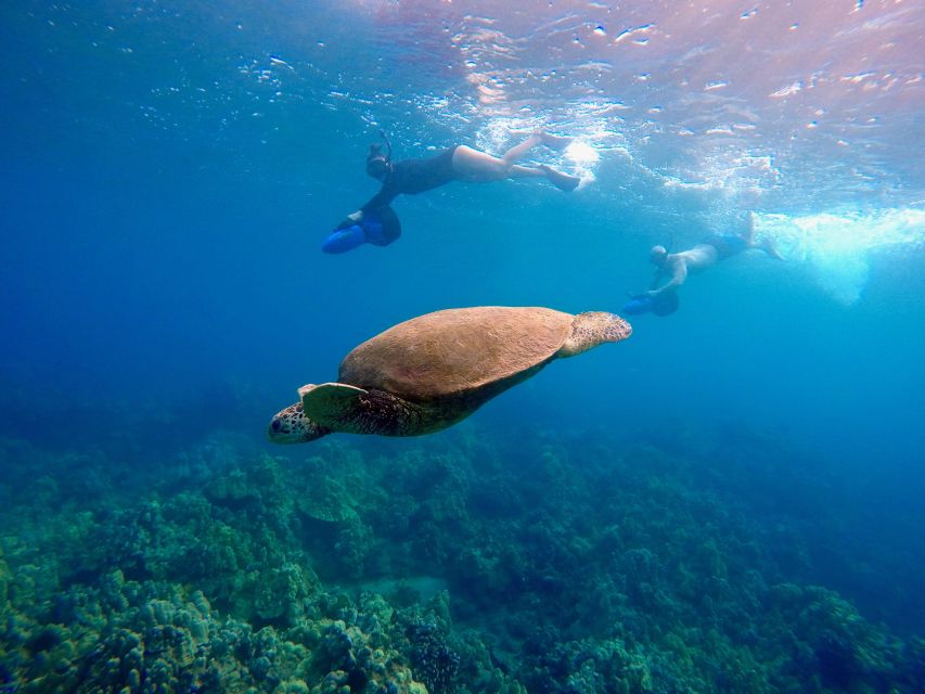 Wailea Beach: Guided Sea Scooter Snorkeling Tour - Why the sea scooter changes the Wailea experience