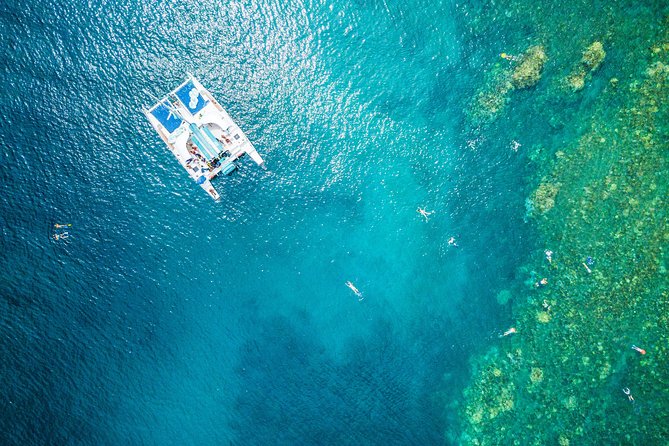 West Maui Afternoon Snorkel from Ka’anapali Beach - Key points to know before you book