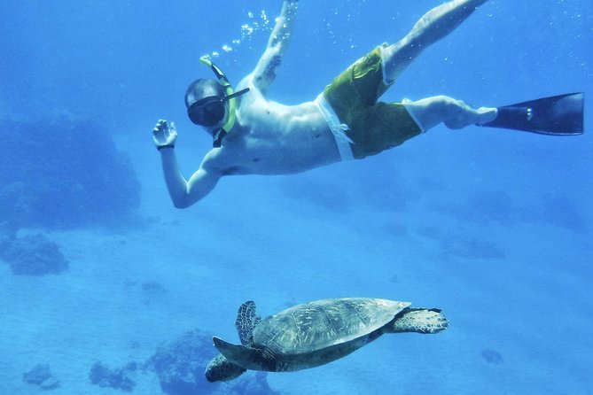 West Maui Half Day Snorkel from Ka’anapali Beach - Why this four-hour Maui cruise works so well