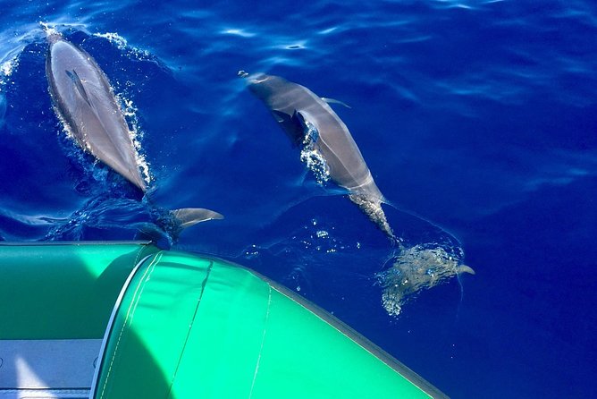West Maui Snorkeling Experience by Boat from Ka'anapali - Key points before you book