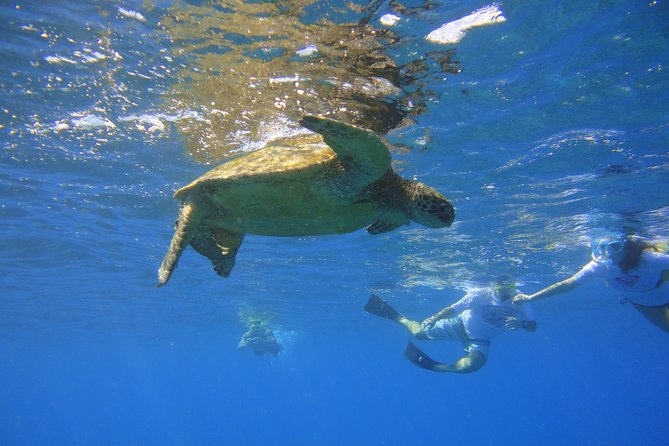 West Maui Snorkeling Experience by Boat from Ka'anapali - Leaving Kaanapali with breakfast in hand