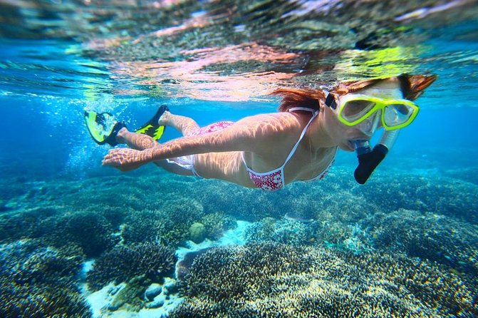 West Oahu Dolphin Watch and Snorkel Sail with Lunch - Practical details before you commit