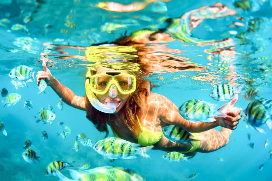 West Oahu: Turtles, Dolphins, and Snorkeling Tour with Lunch - Key points to know before you book