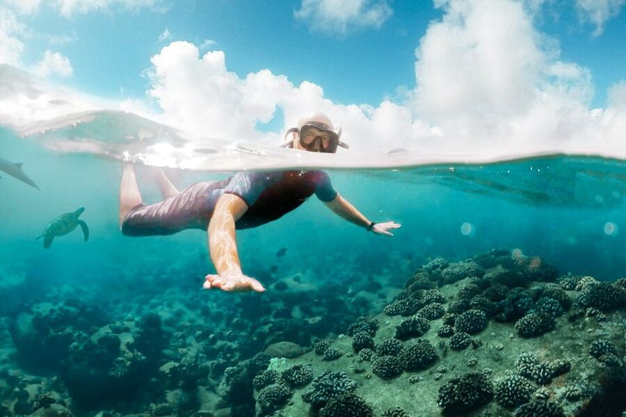 West Oahu: Turtles, Dolphins, and Snorkeling Tour with Lunch - FAQ