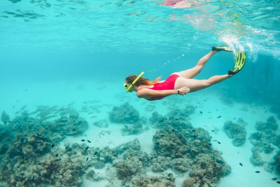 West Oahu: Turtles, Dolphins, and Snorkeling Tour with Lunch - What the crew adds to the experience