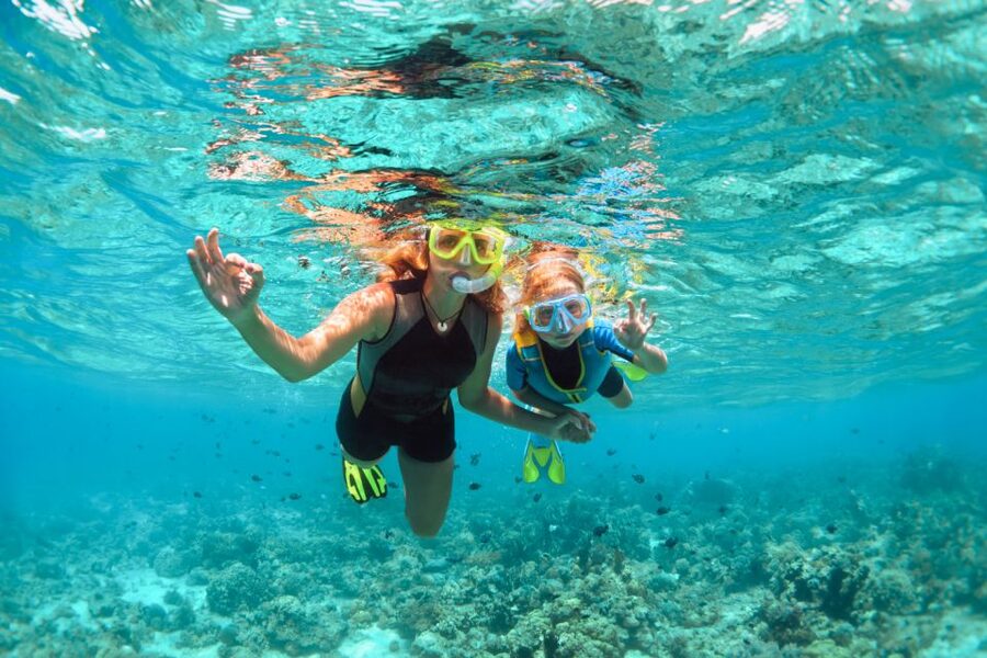 West Oahu: Turtles, Dolphins, and Snorkeling Tour with Lunch - Should you book the West Oʻahu turtle and dolphin cruise?