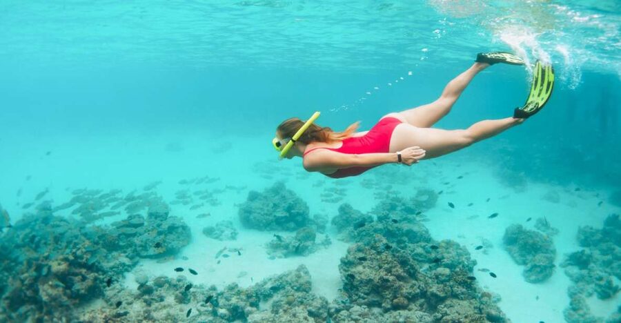 West Oahu: Turtles, Dolphins, and Snorkeling Tour with Lunch - Searching for spinner dolphins along West Oʻahu