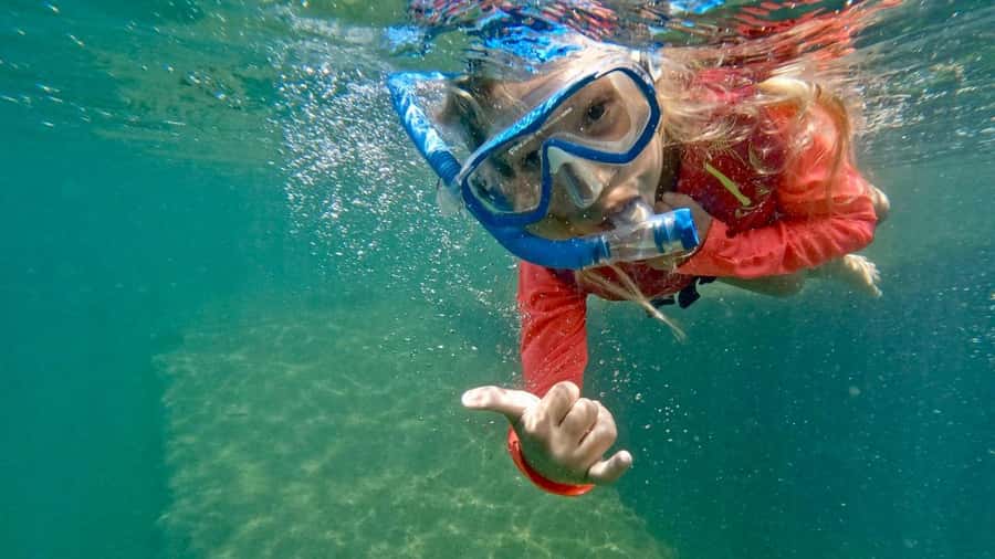 West Palm Beach: Beginner Snorkel Tour with Turtles & Videos - Starting under the bridge at Phil Foster Beach Park