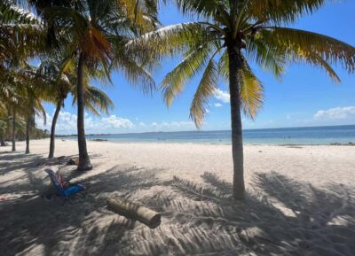 West Palm Beach: Beginner Snorkel Tour with Turtles & Videos