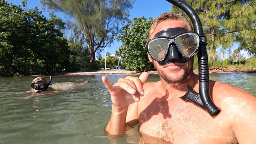 West Palm Beach: Beginner Snorkel Tour with Turtles & Videos - A good choice for children eight and older