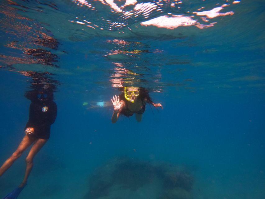 West Palm Beach: Blue Heron Bridge Guided Snorkeling Tour - Why Blue Heron Bridge is such an easy snorkeling choice