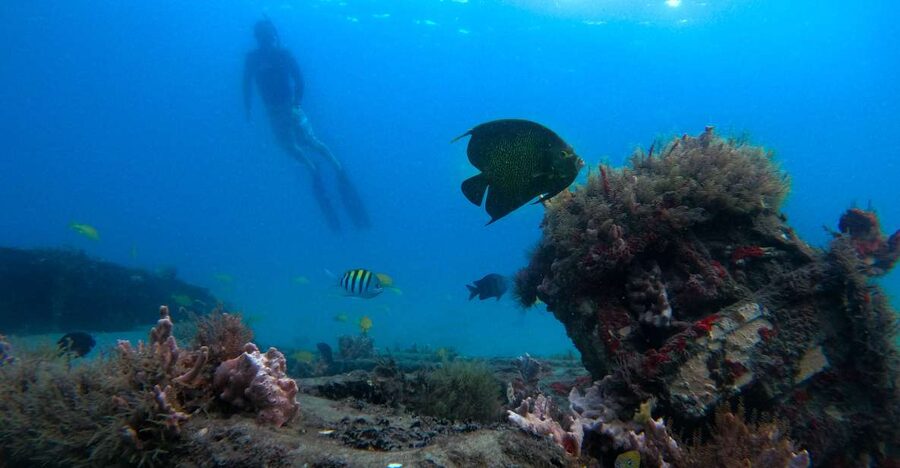West Palm Beach: Blue Heron Bridge Guided Snorkeling Tour - Walking the 500 feet to the water