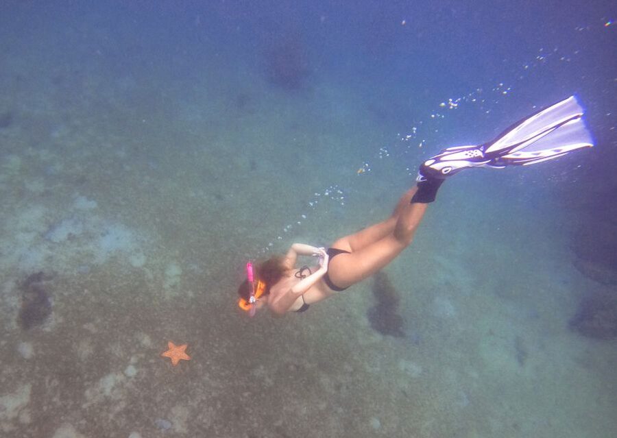 West Palm Beach: Blue Heron Bridge Guided Snorkeling Tour - Who should book this experience
