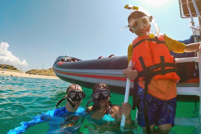 Whale Watching & Snorkeling Combo in Los Cabos with Photos Included - Two hours with gray and humpback whales