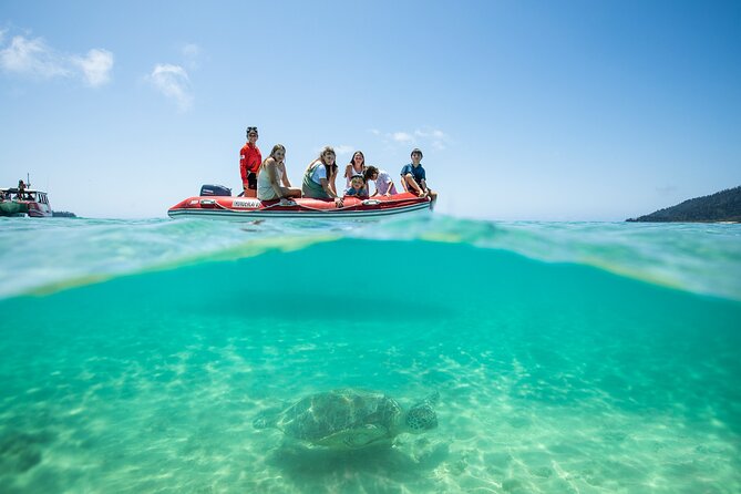 Whitehaven Beach and Hill Inlet Lookout Snorkeling Cruise - Who will enjoy this most