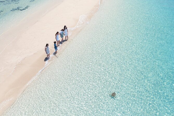 Whitehaven Beach and Hill Inlet Lookout Snorkeling Cruise - Practical details that affect your day
