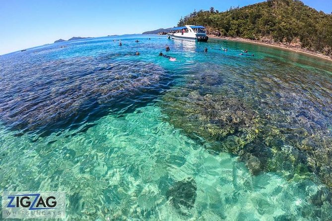 Whitehaven Beach Tour: 2 Options - All Day Beach Or Snorkel - The snorkeling option adds a different kind of day