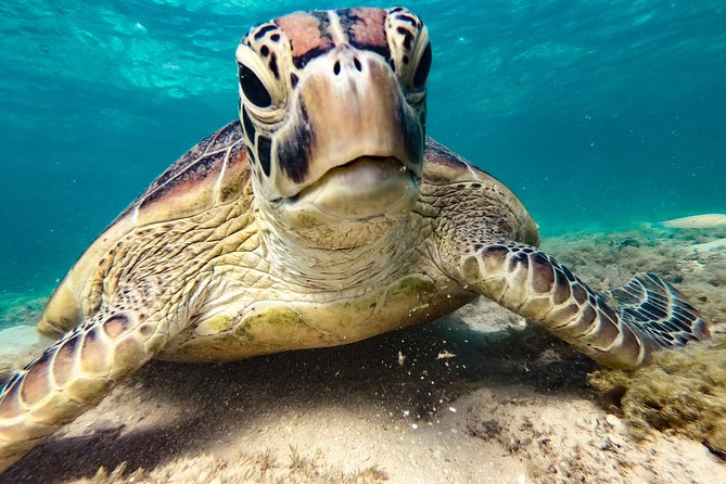 Whitsunday Islands Sail, SUP & Snorkel Tour- Small group - What the group size really means