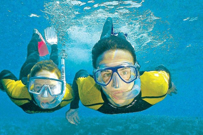 Whitsunday Islands Sail, SUP & Snorkel Tour- Small group - Price and overall value at $156.72