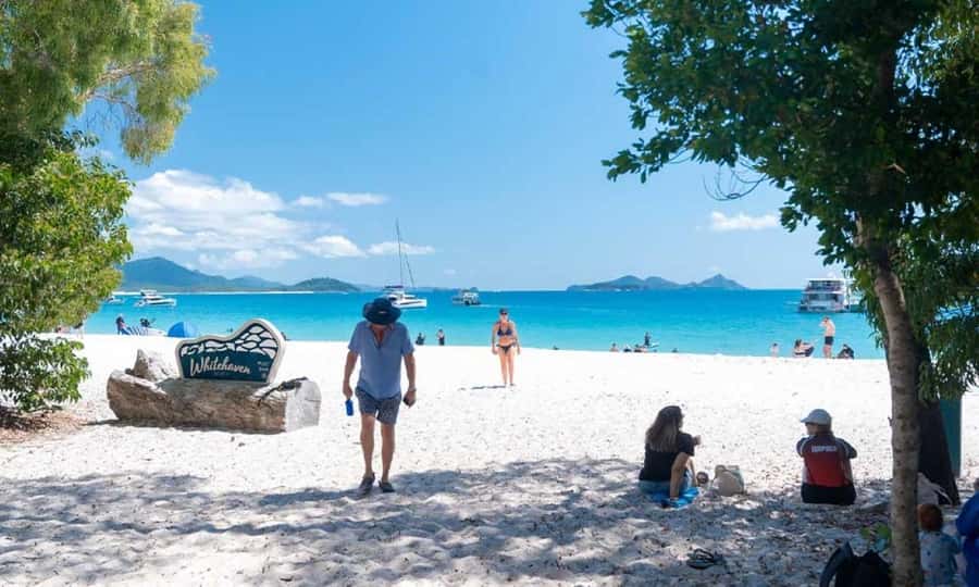 Whitsunday: Whitsunday Islands Tour with Snorkeling & Lunch - Whales, turtles, and other wildlife