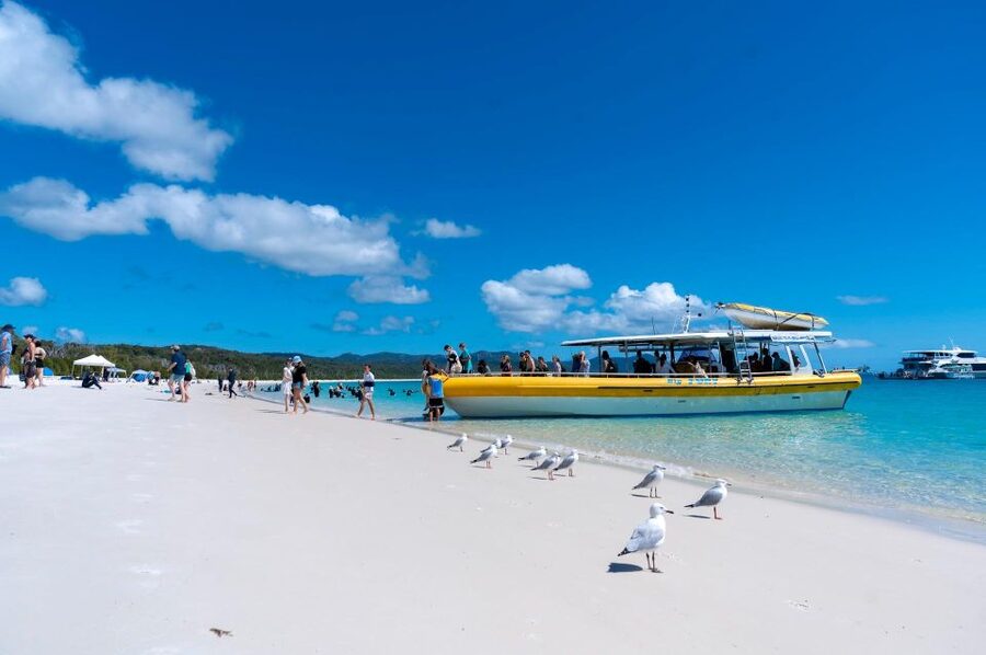 Whitsunday: Whitsunday Islands Tour with Snorkeling & Lunch - Crew style, safety, and the small details