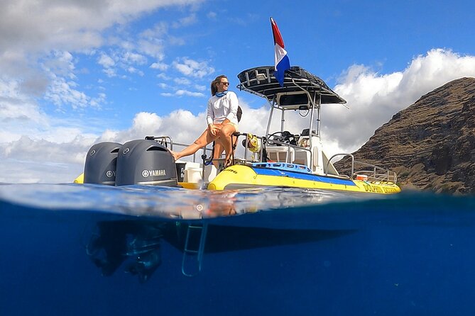 Wild Dolphin Watching and Snorkel Safari Off West Coast of Oahu - Key points at a glance