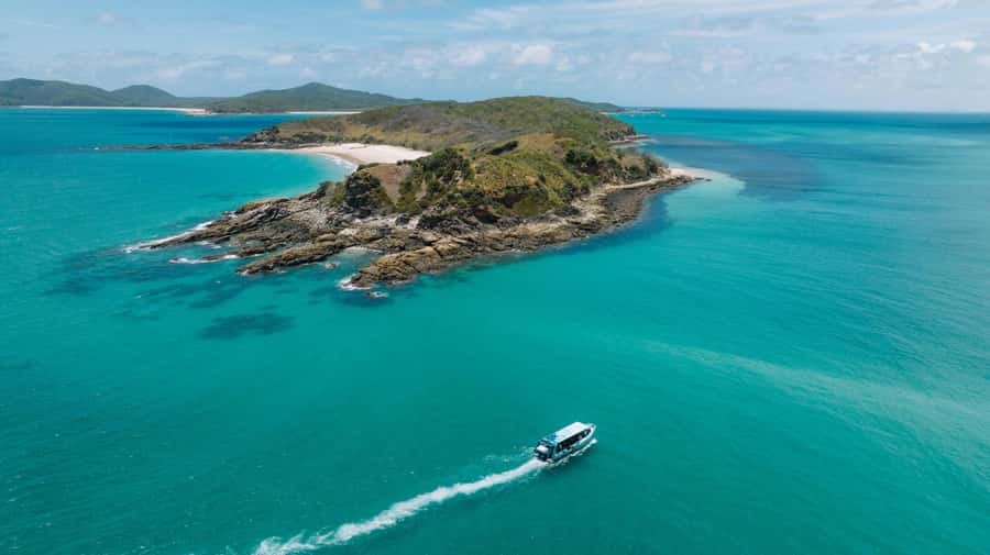 Yeppoon: Great Keppel Island Fast Boat Snorkel & Lunch Tour - Choosing between reef time and beach time