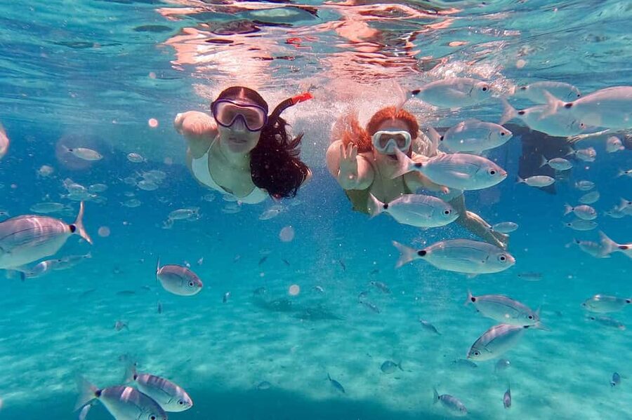 Zadar: Dugi Otok Island Discovery Day Trip with Snorkeling - Veli Rat Lighthouse and the northern coast