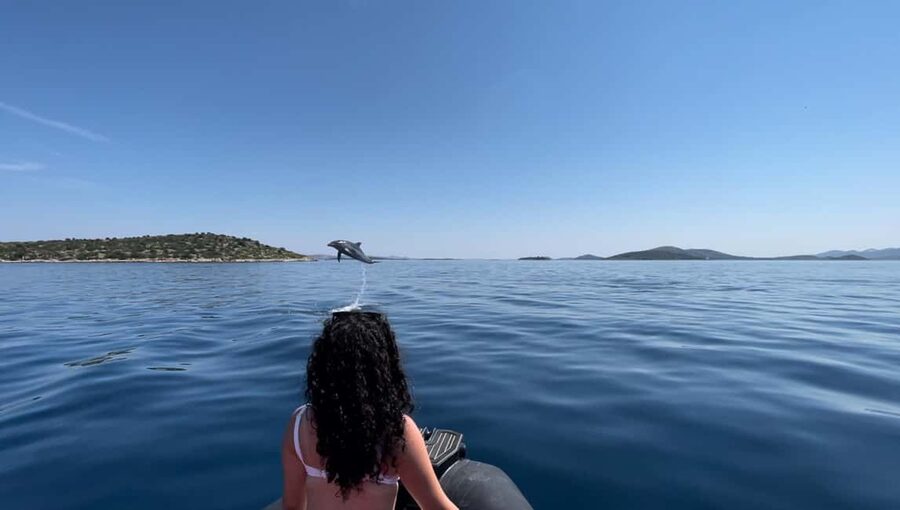 Zadar: Island Luxury Speedboat Tour with Snorkeling - The middle stop is built around swimming and fish