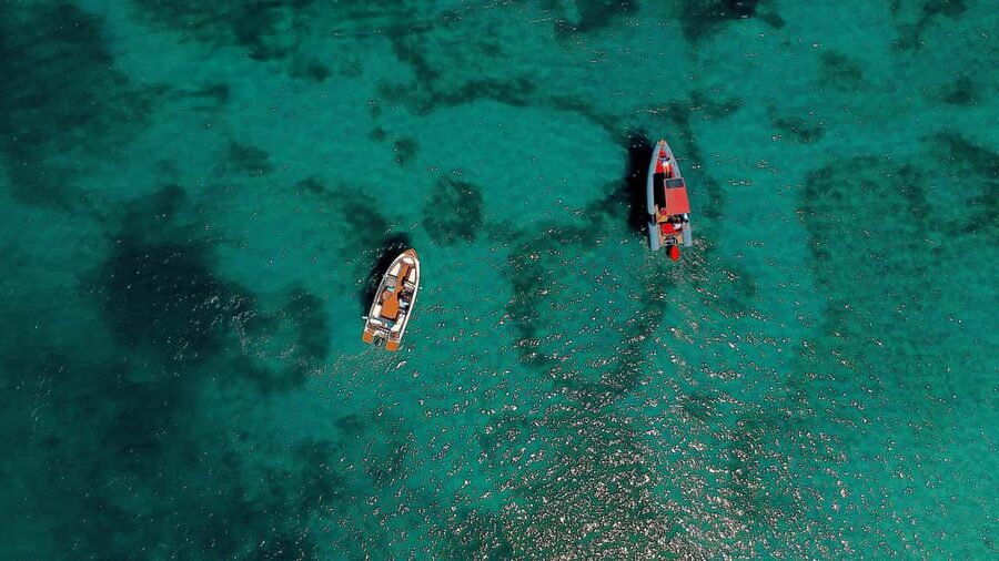 Zadar:Speedboat Tour Thrill Ride with Snorkeling on 3 island - Ošljak: one hour on a tiny island
