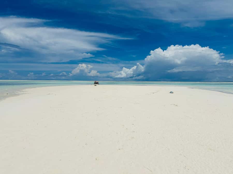 Zanzibar: Mnemba Island Dolphin and Snorkeling Tour - The return along Zanzibar’s coast