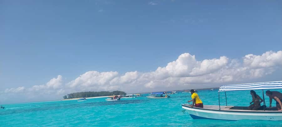 Zanzibar: Mnemba Island Dolphin and Snorkeling Tour - Who should book this experience