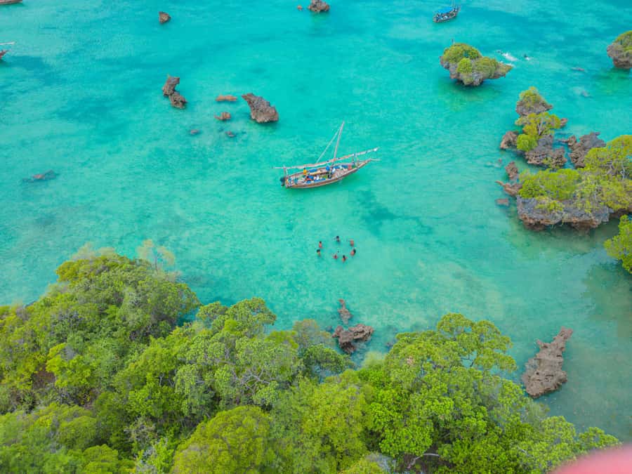 Zanzibar: Safari Blue Lagoon Trip with Snorkeling and Lunch - Guides, languages, and group atmosphere